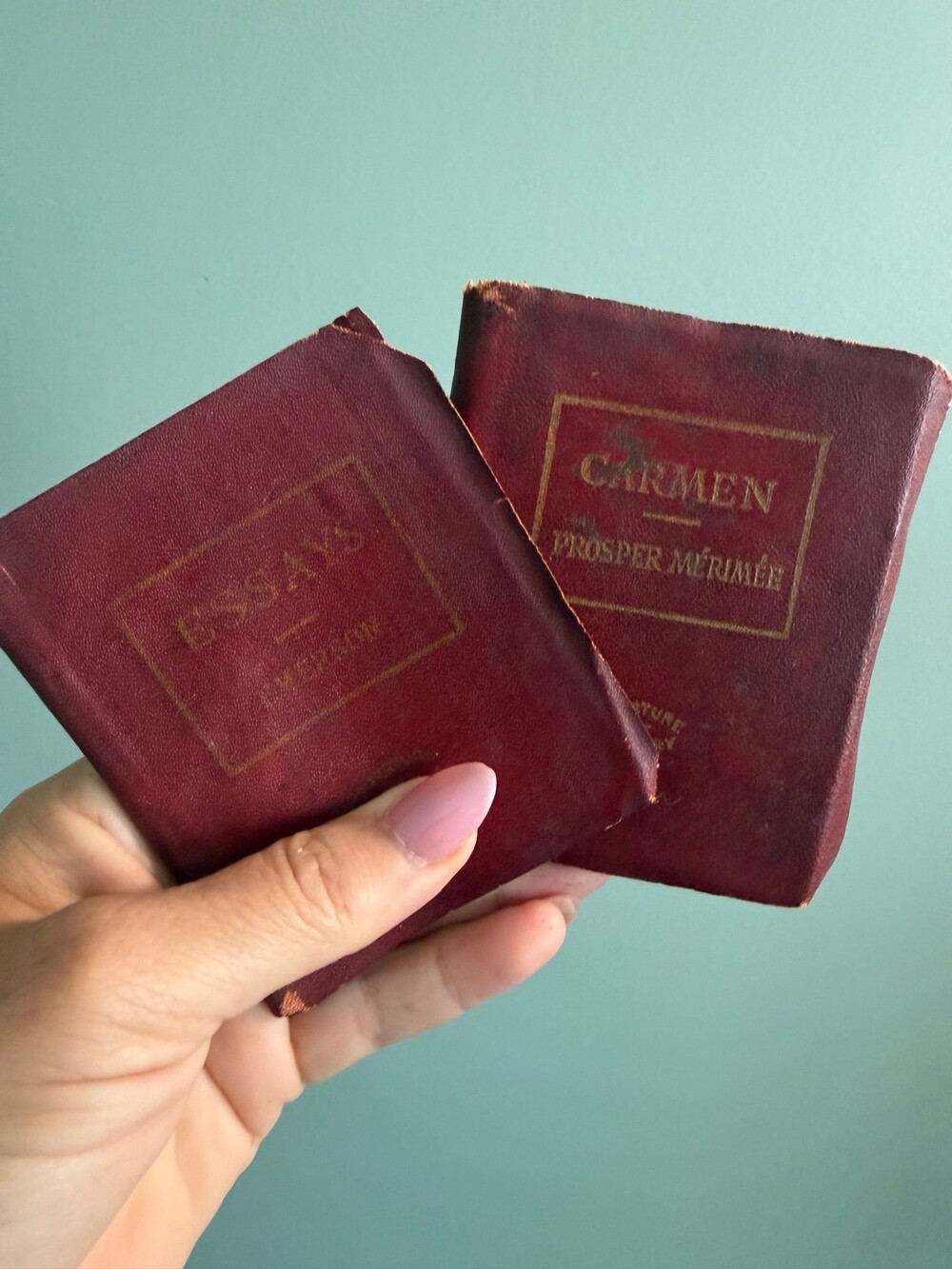 Little leather library books.